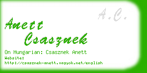 anett csasznek business card